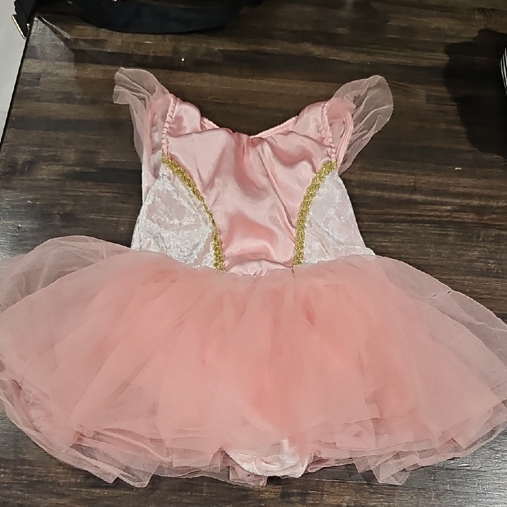 Gymboree Pink and Gold Tutu Dress